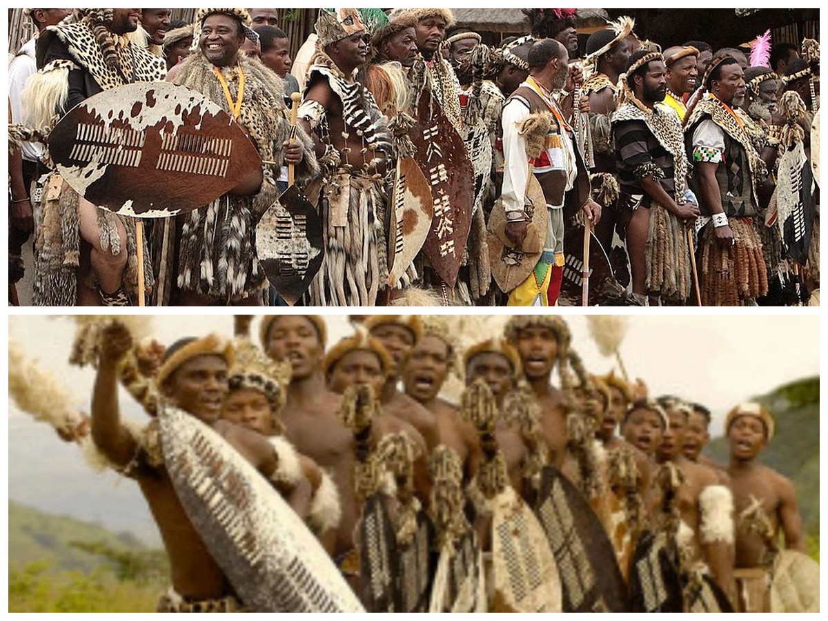Menelusuri Akar Suku Zulu: Warisan Perjuangan dan Budaya Afrika Selatan yang Mendunia