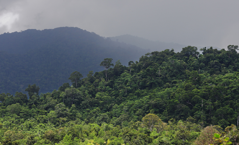 Puncak yang Tinggi: Kisah Sejarah di Balik Nama Gunung Ulumasen