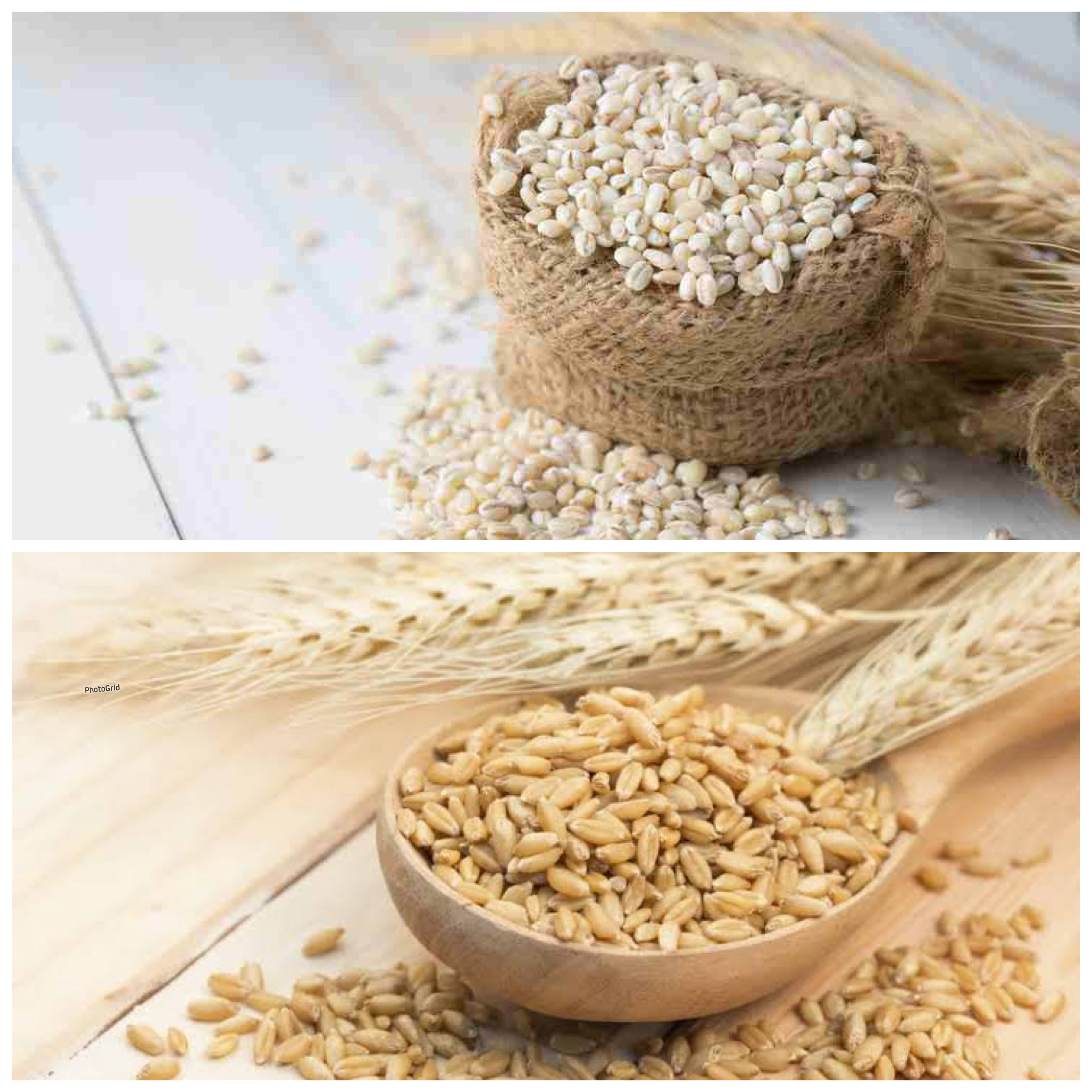 Ini Manfaat Barley untuk Kesehatan: Rahasia Gandum Kuno yang Kaya Nutrisi dan Menunjang Hidup Sehat!