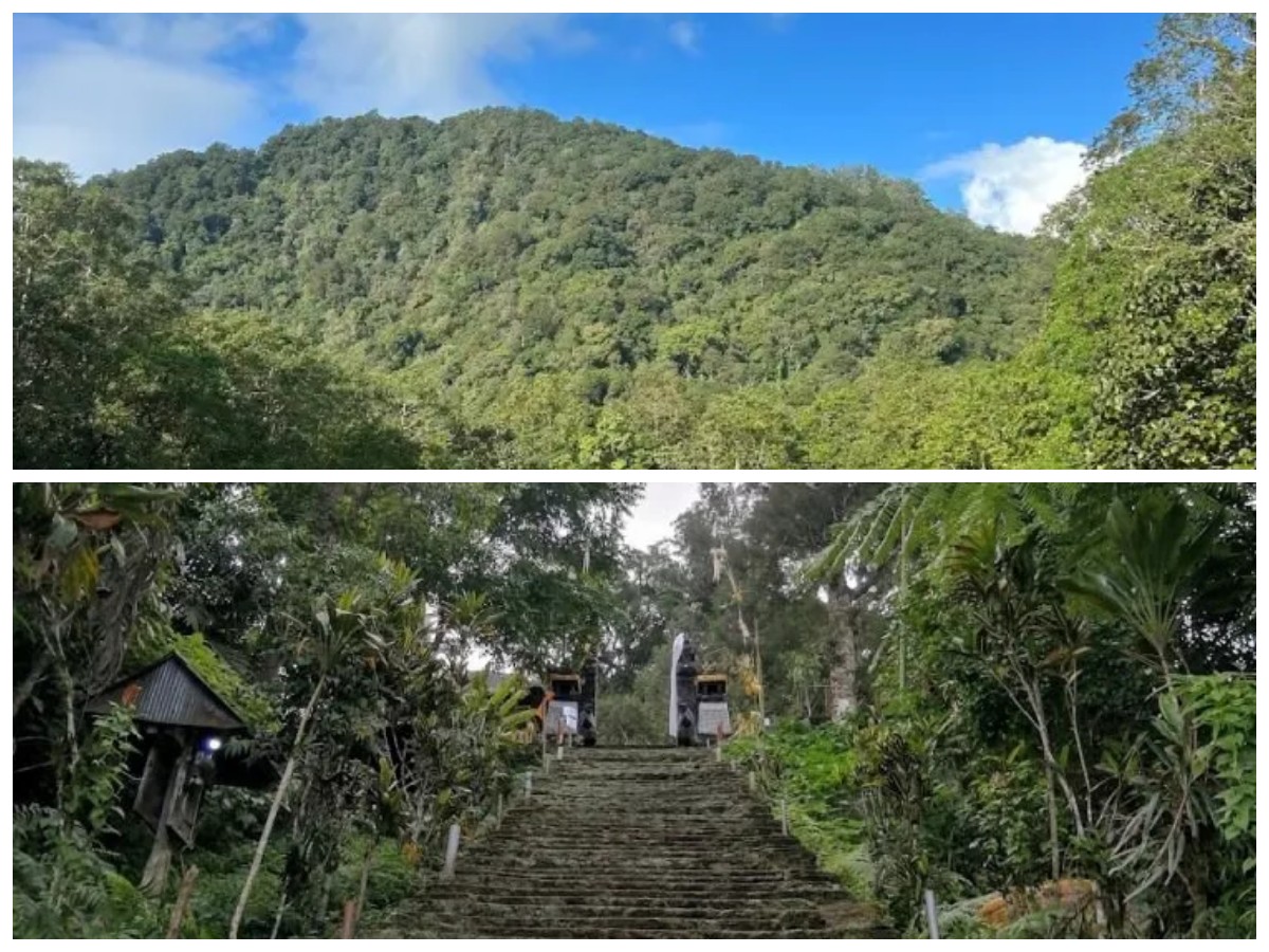 Gunung Adeng Tabanan: Daya Tarik Alam Berkarakter yang Siap Memikat Pendaki