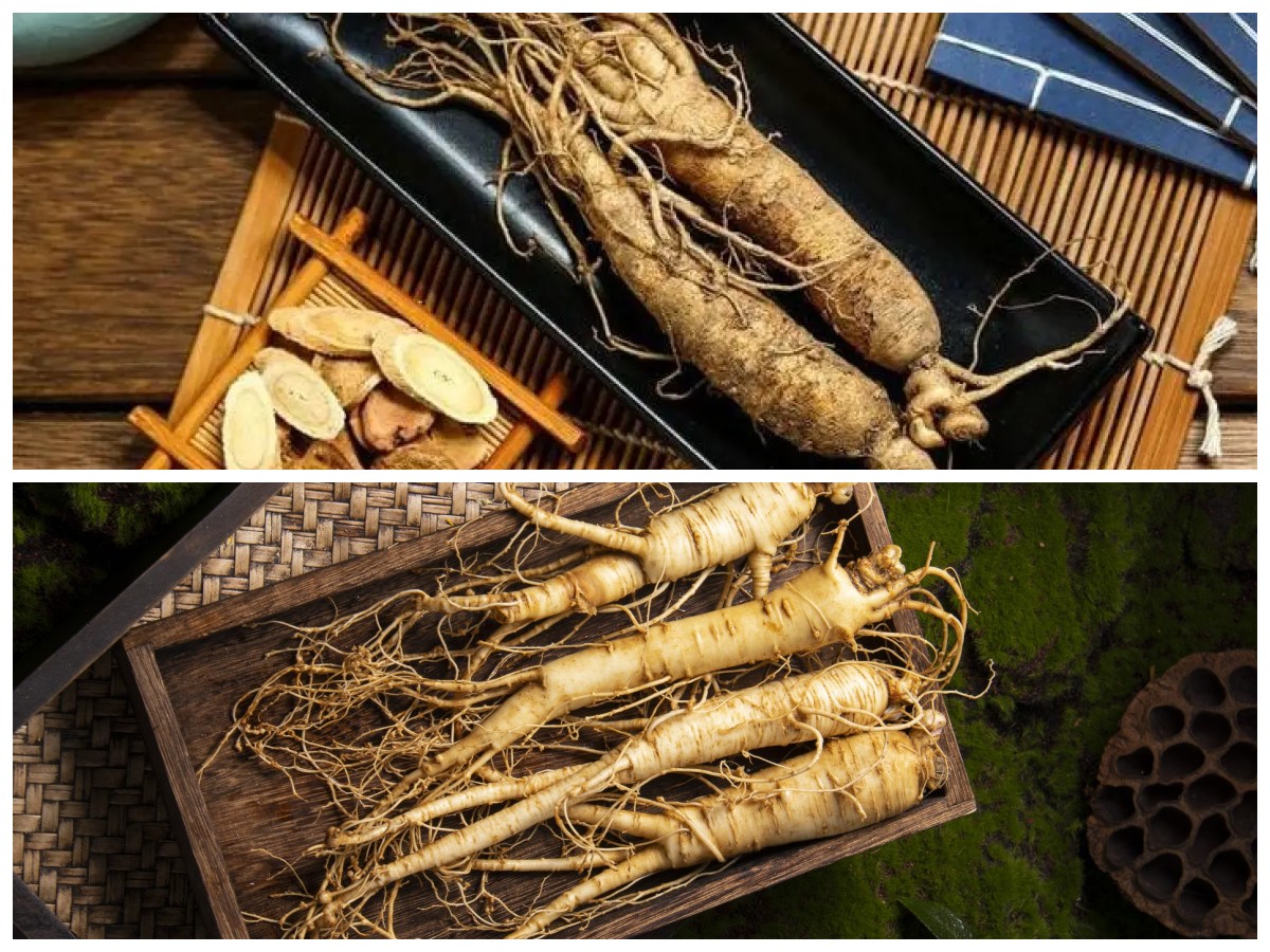 Tak Hanya untuk Stamina, Inilah Khasiat Ginseng dalam Menstabilkan Kadar Gula Darah Secara Alami