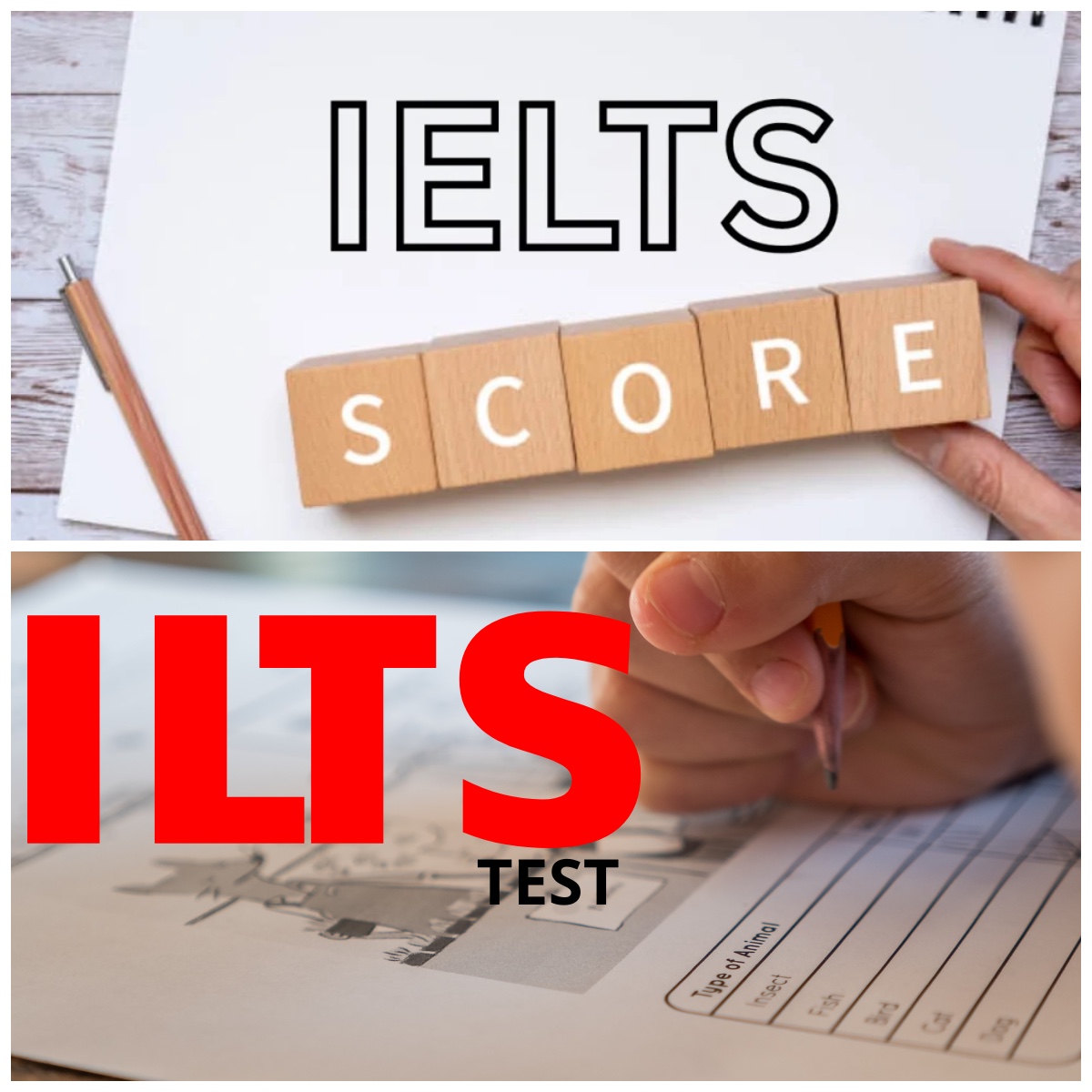 Panduan Dasar Persiapan Menghadapi Tes IELTS