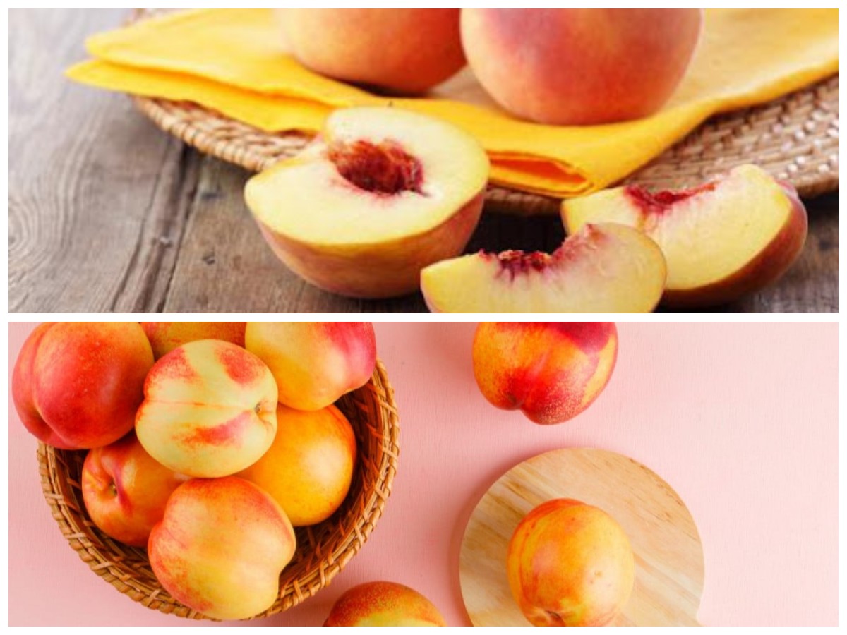 Rahasia Sehat dan Cantik dengan Buah Persik: Dari Kulit Bersinar hingga Jantung Kuat