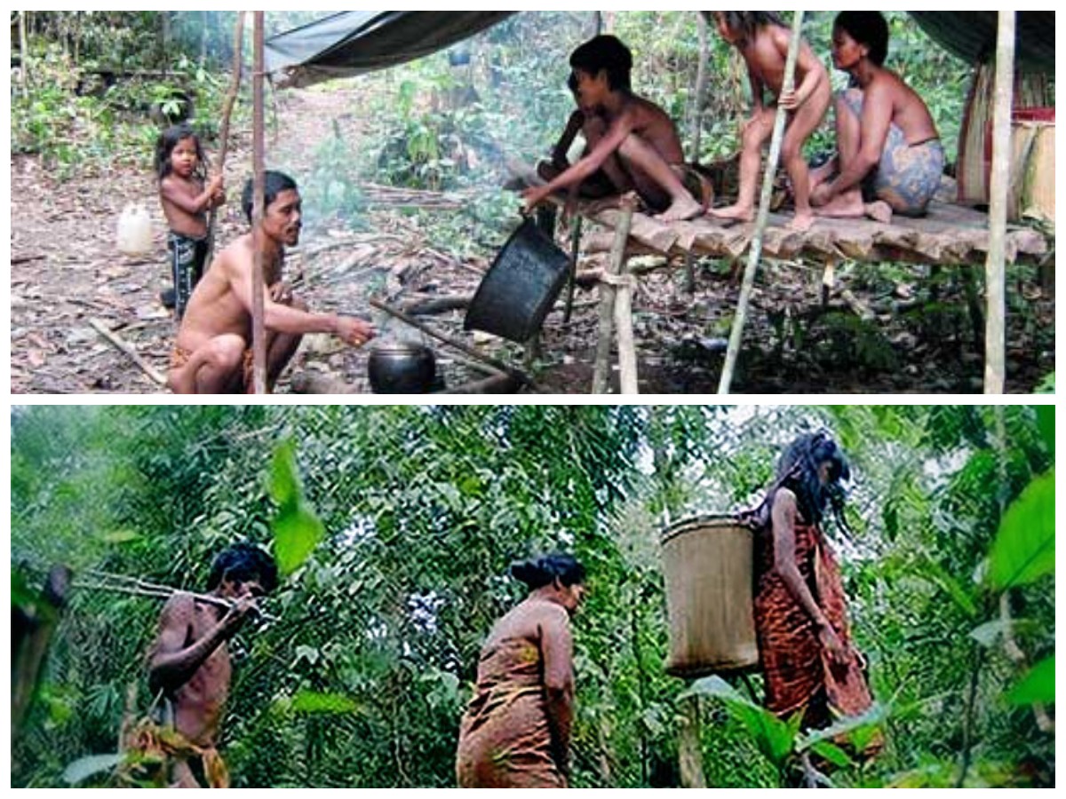 Kearifan Lokal Suku Anak Dalam: Ritual Melangun dan Kekokohan Hukum Adat yang Terjaga