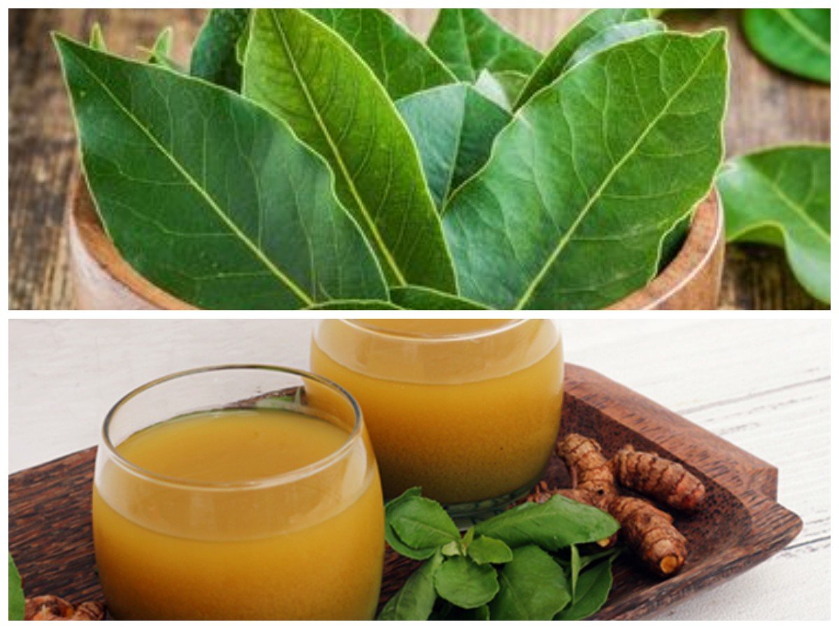 Rahasia Daun Alami: 6 Resep Ampuh untuk Redakan Nyeri Sendi dan Lutut