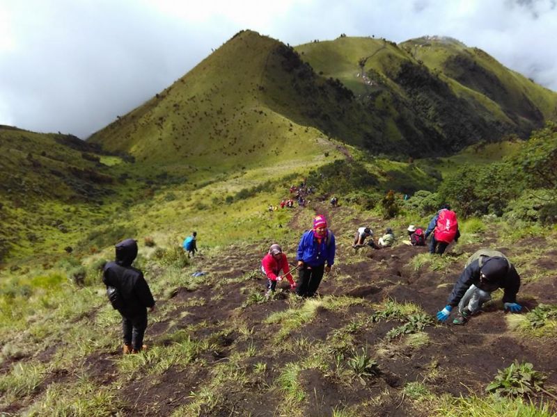 Menggali Sejarah Nama Gunung Ungaran dan Misteri yang Mengelilinginya