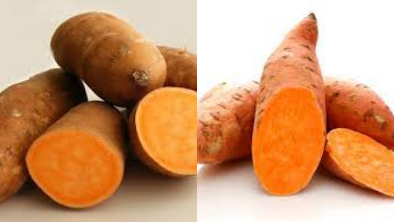 8 Manfaat Ubi Jalar dan Kandungan Nutrisinya Wajib Kalian Tahu!