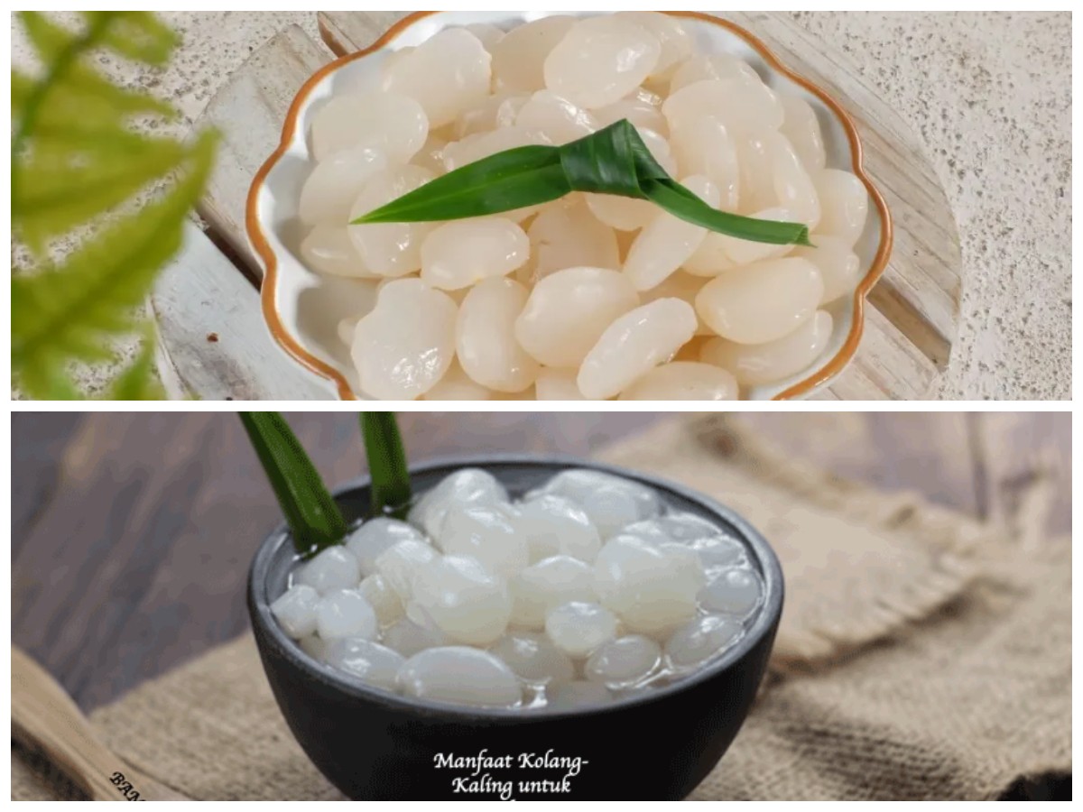 Ragam Manfaat Kolang Kaling: 10 Alasan Buah Ini Sehat Dikonsumsi
