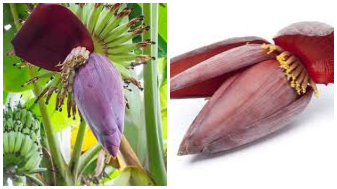 Ketahui Manfaat Jantung Pisang bagi Kesehatan