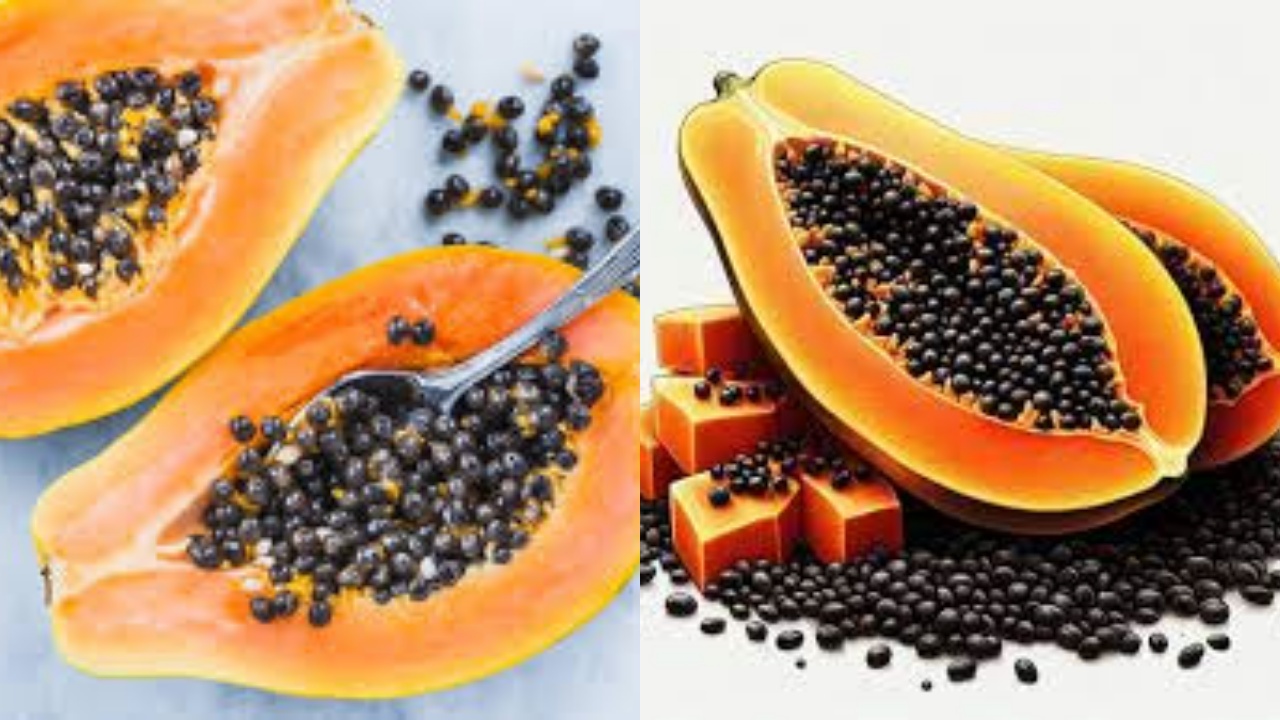 Perlu Kalian Ketahui Inilah 7 Manfaat Biji Pepaya Untuk Kesehatan Yang Luar Biasa!