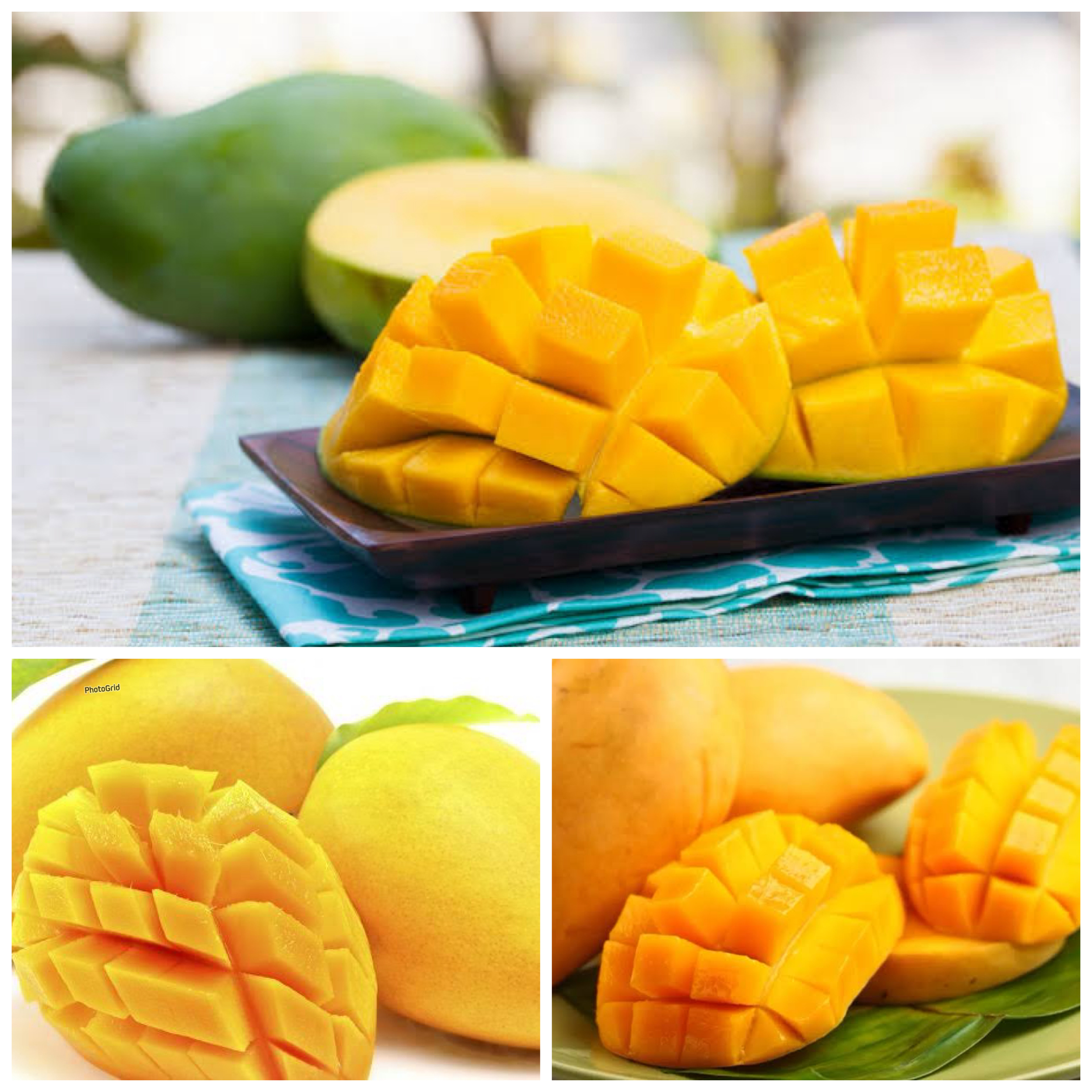 Tidak hanya untuk Orang Dewasa, Ada beragam Manfaat Buah Mangga untuk Anak!