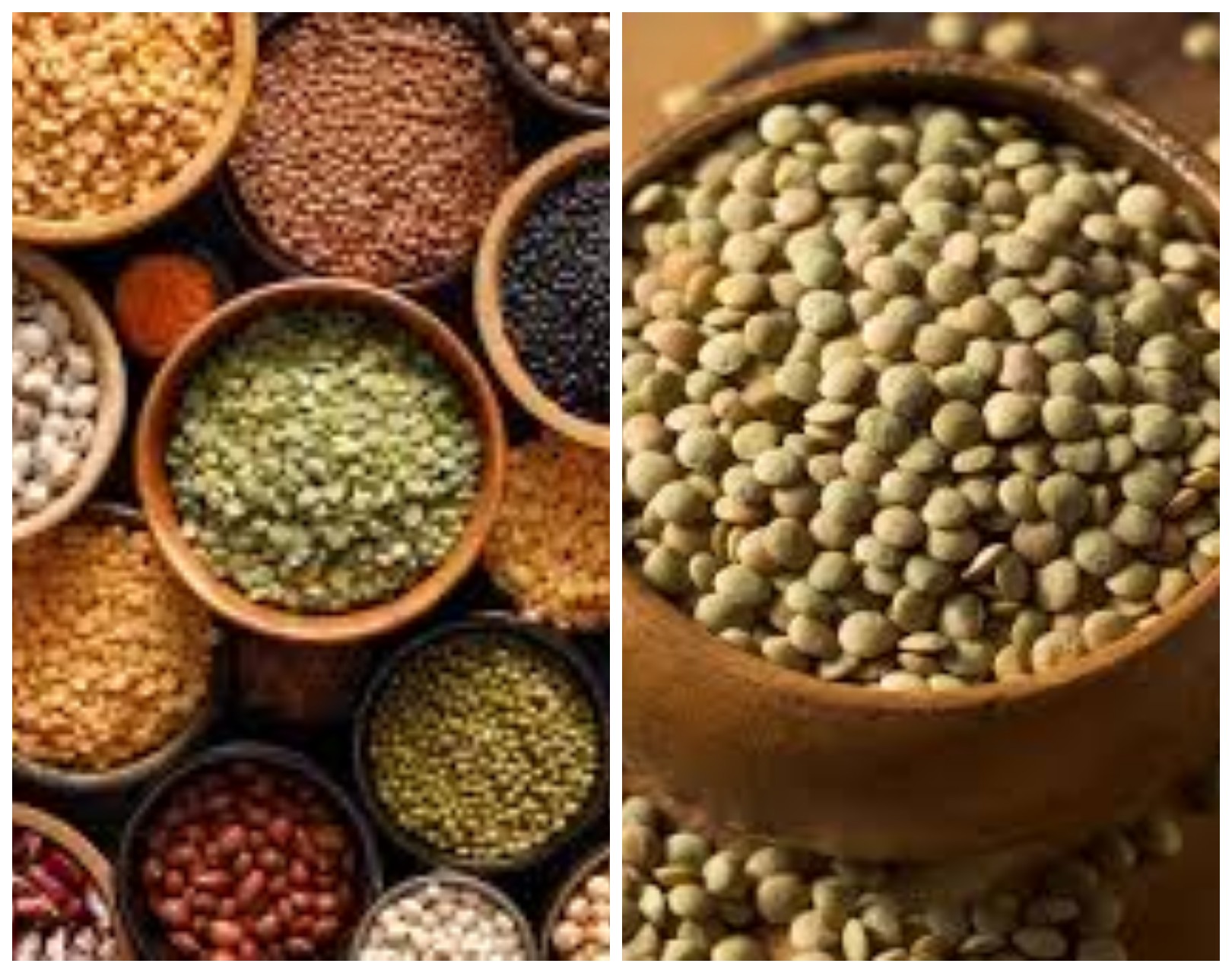 Lentil, Si Kecil yang Penuh Manfaat