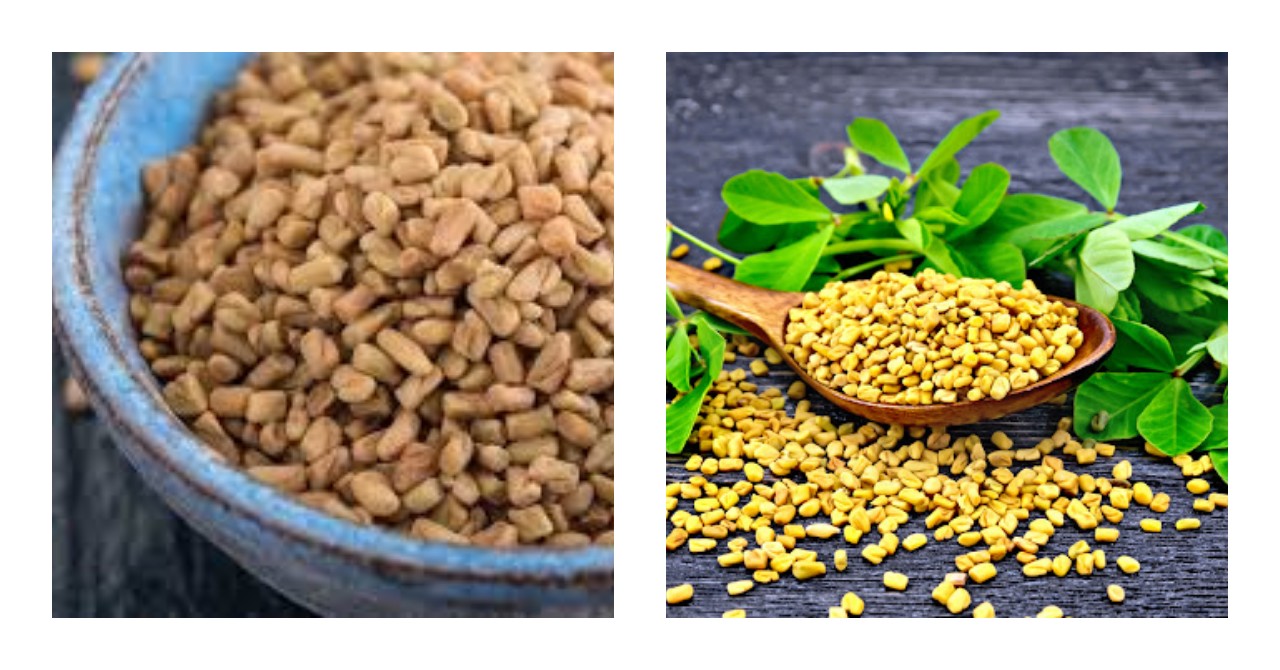 7 Manfaat Fenugreek untuk Kesehatan Tubuh