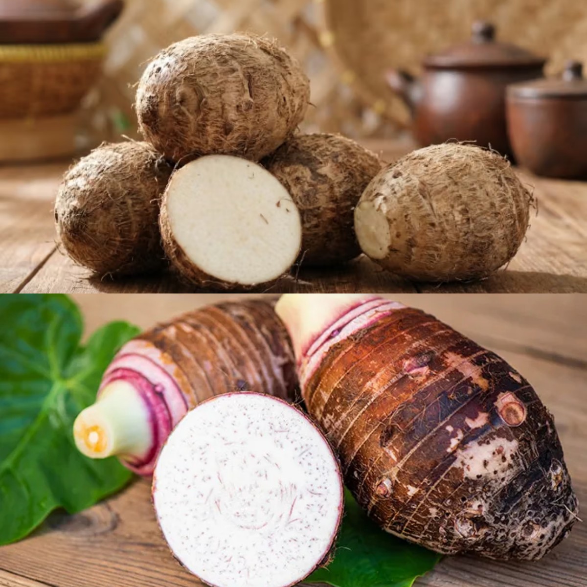 Kimpul: Pangan Lokal Kaya Nutrisi dan Potensi Kesehatan