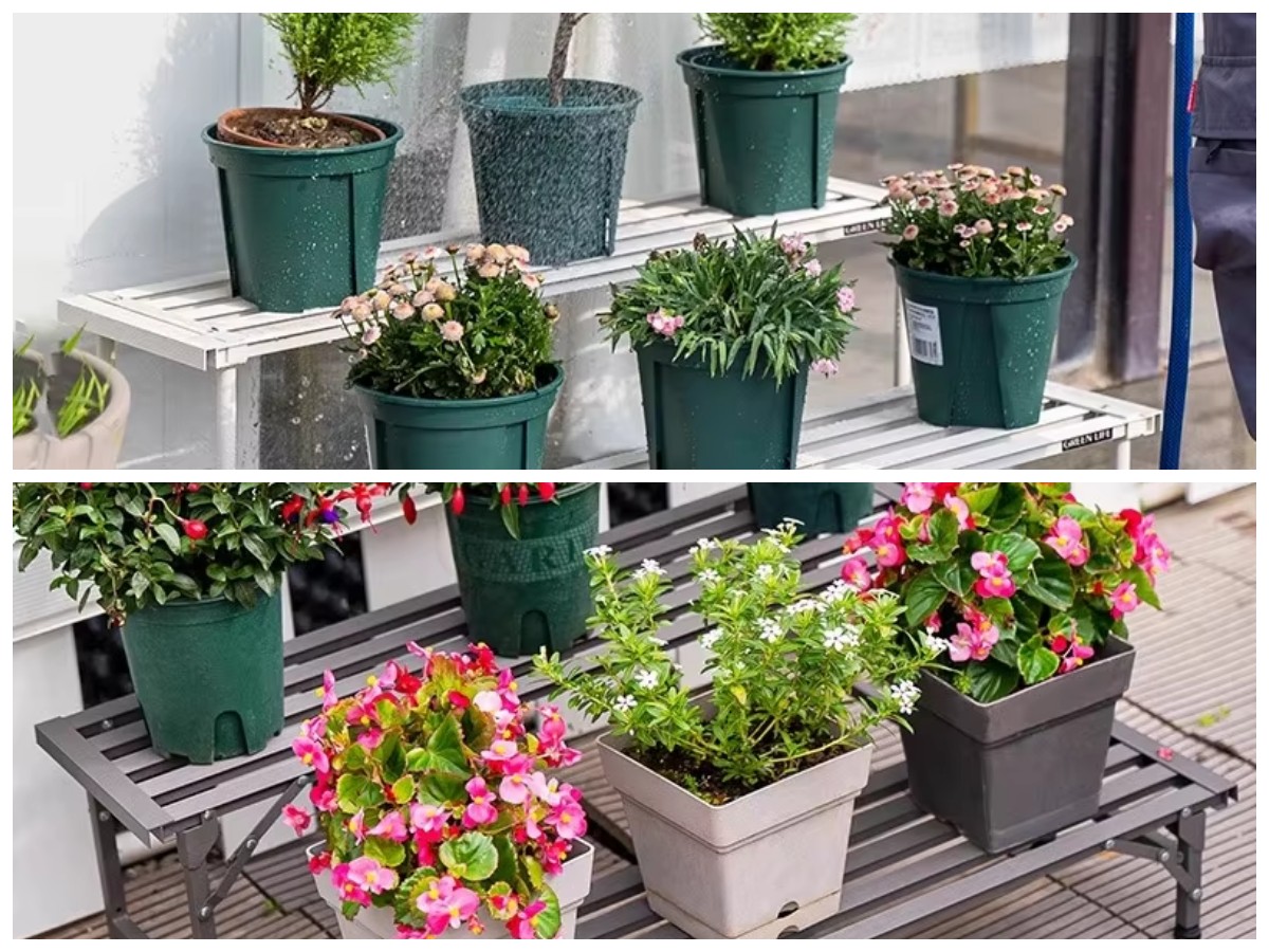 Rak Tanaman Outdoor Multi-Tingkat, Praktis dan Awet untuk Pekarangan Kecil