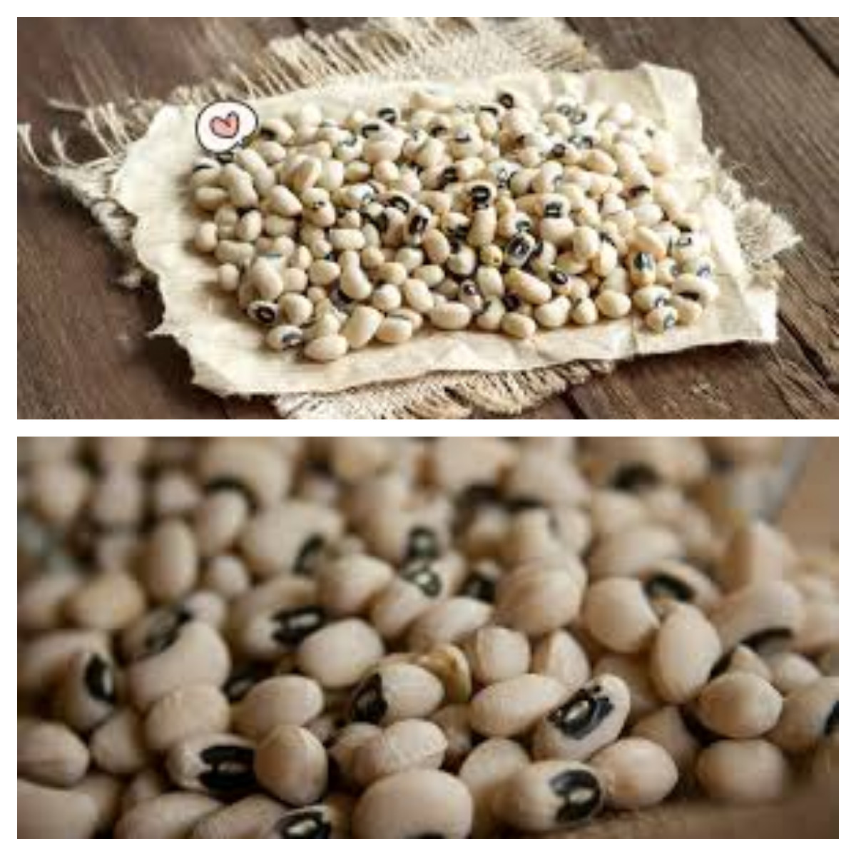 Baru Tahu Inilah 8 manfaat kacang tolo bagi kesehatan! 