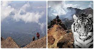 Terdapat Legenda 4 Pondok Gaib di Gunung Raung, Benarkah? Mengungkap Misteri Dataran Tinggi Jawa Timur!