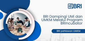 Modal Usaha Jadi Mudah! Ini Rahasia Sukses UMKM dengan Kredit BRI