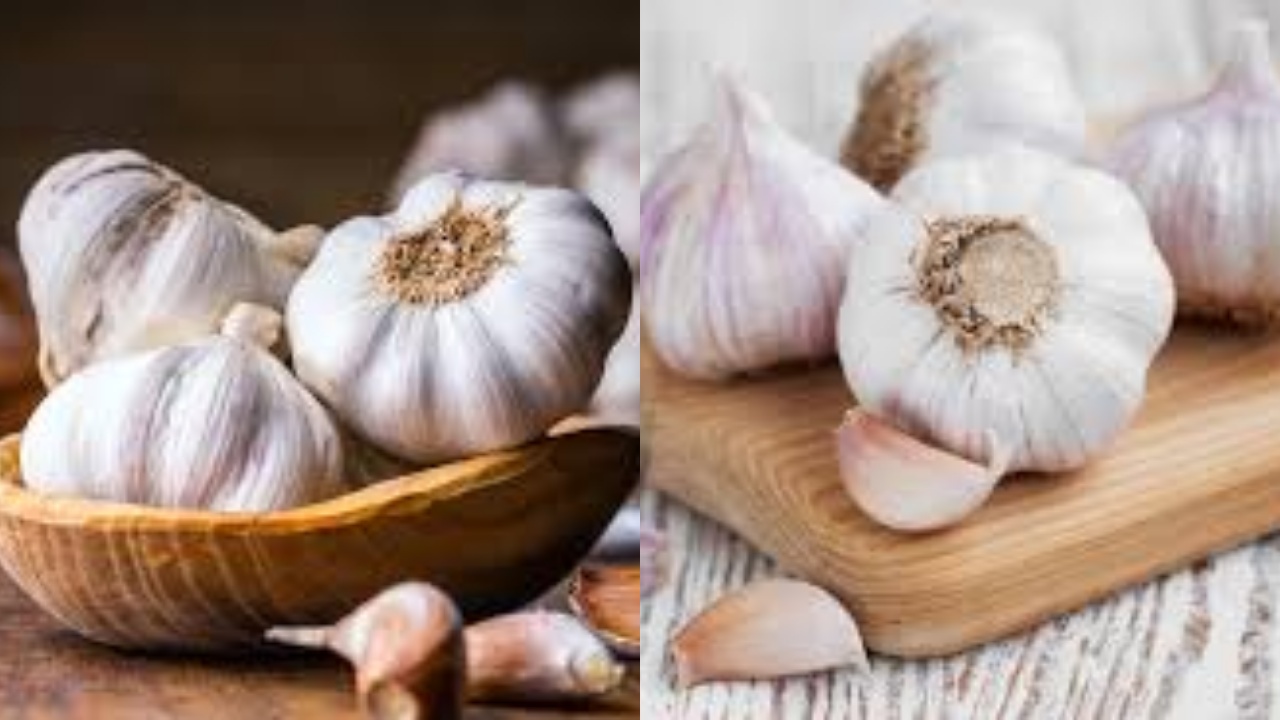 Catat, Inilah 8 Manfaat Bawang Putih Mentah bagi Tubuh!