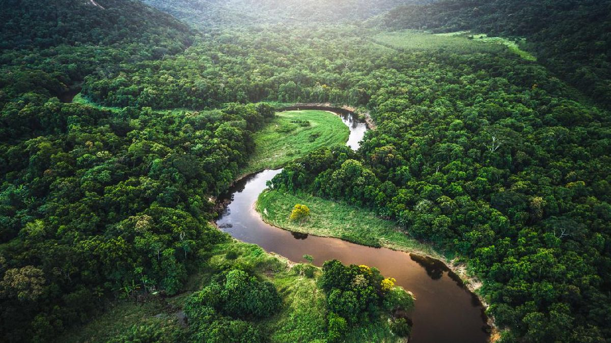 Misteri Kota Pra-Hispanik Jadi Temuan Terbesar di Amazon, Ada apa Saja Disana?