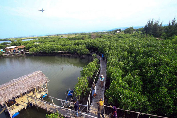 7 Wisata Air di DKI Jakarta, Salahsatunya Mangrove Ecotour