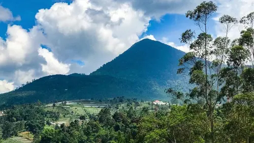 Gunung Bukit Tunggul: Saksi Bisu Letusan Purba dan Kisah Mistis yang Menghantui