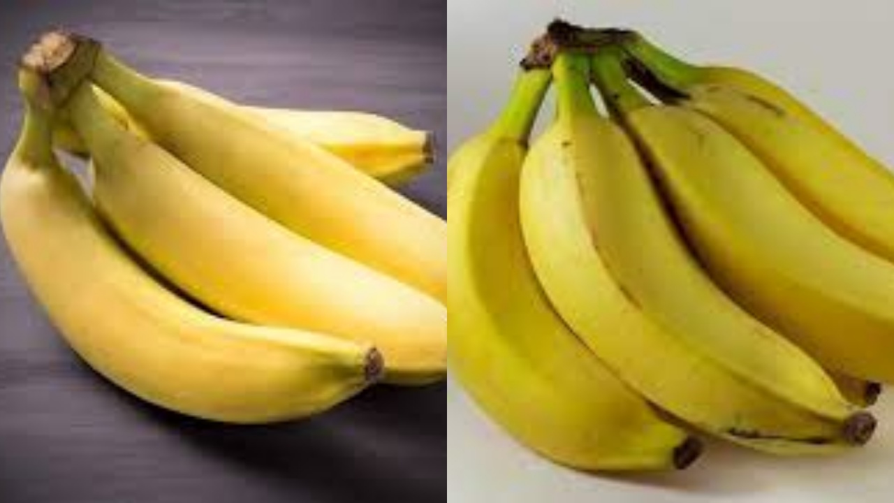 Tak Sekadar Buah, Inilah Manfaat Pisang Untuk Kesehatan Yang Luar Biasa!