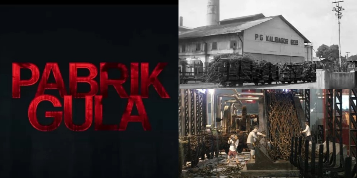 Fakta atau Mitos? Jejak Misteri dan Keindahan Arsitektur Kolonial di Pabrik Gula Tua