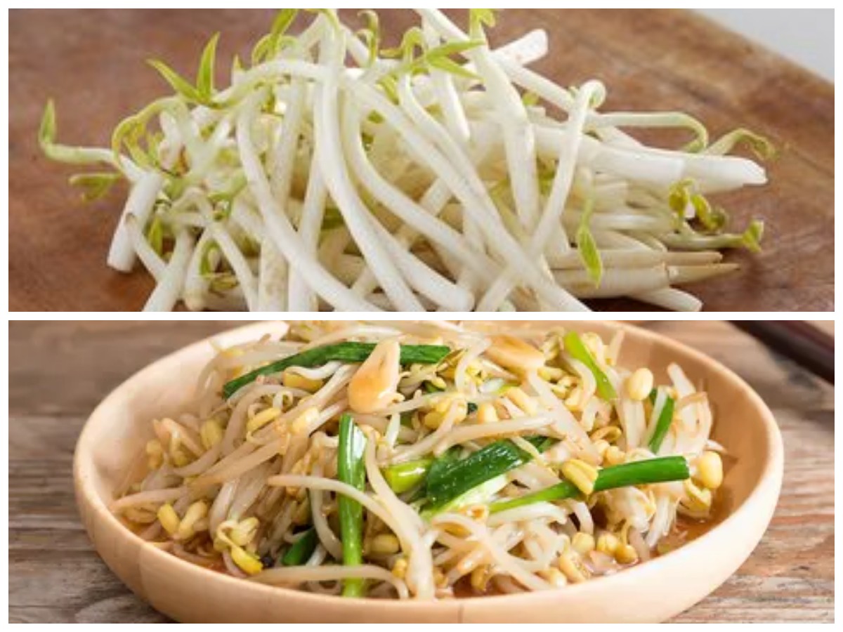 Tauge Sehat: 5 Resep Lezat yang Bantu Turunkan Kolesterol