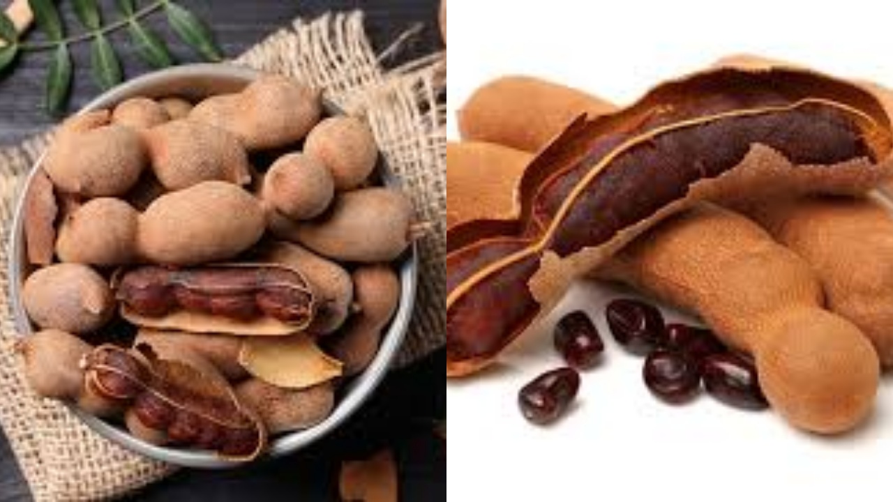 Wajib Tahu 9 Manfaat Asam Jawa, dari Obati Flu hingga Sembuhkan Luka