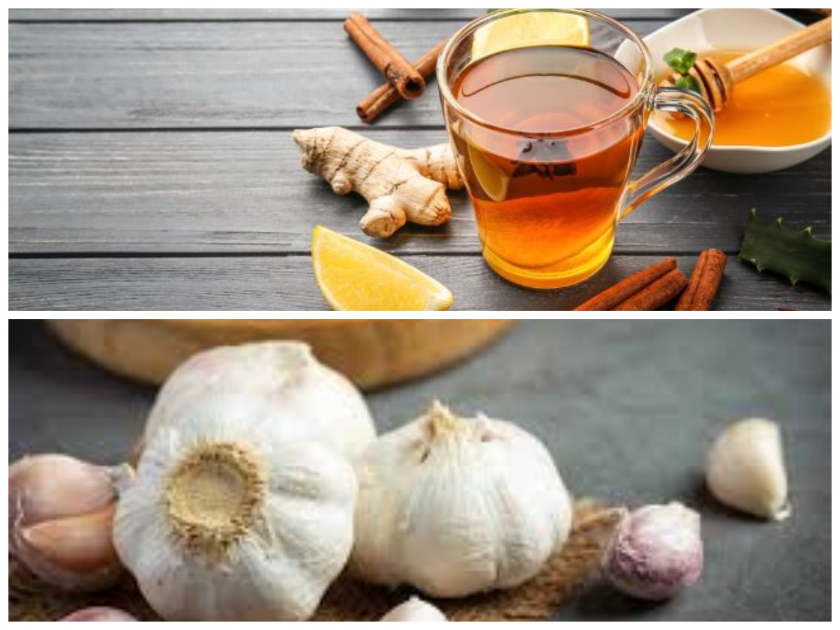 Solusi Alami: 5 Ramuan Herbal Terbukti Turunkan Kolesterol Tinggi