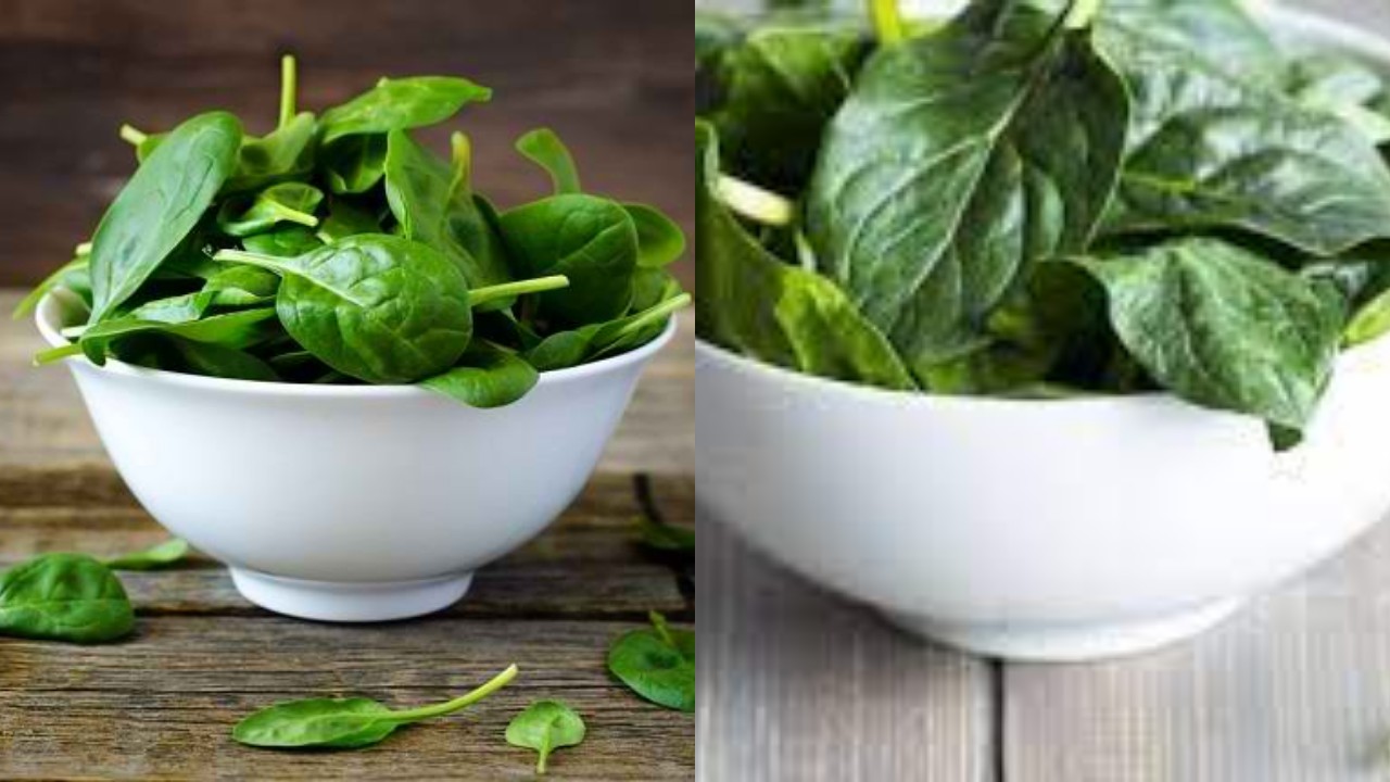 Deretan Manfaat Bayam untuk Kesehatan Tubuh yang Wajib Anda Ketahui!