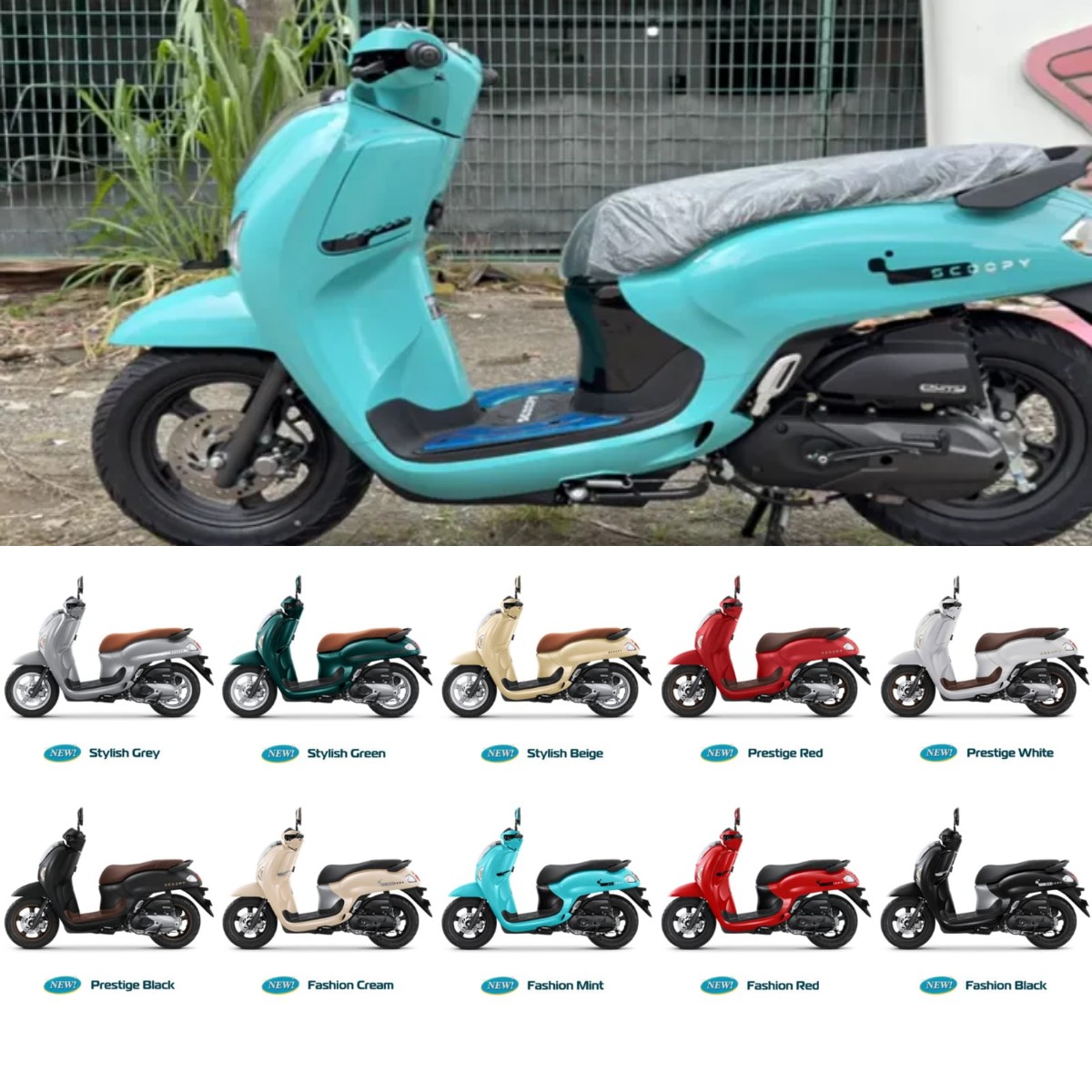 Honda Scoopy Warna Mint 2026, Stylish Banget dan Beda dari yang Lain