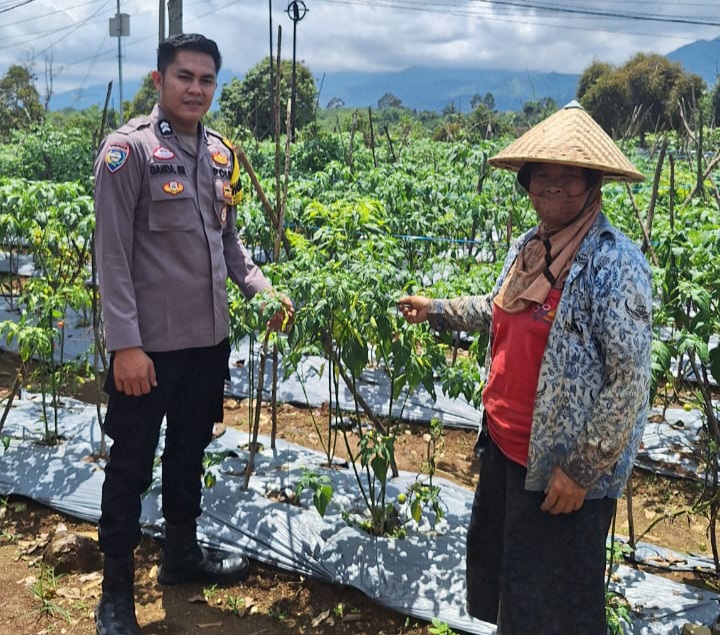Sambang ke Petani, Bhabinkamtibmas Ini Ajak Budidaya Sayuran di Perkarangan Rumah