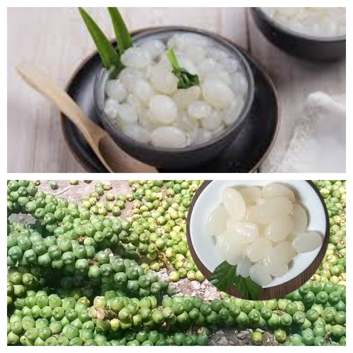 Yuk ketahui manfaat kolang kaling dan cara mengonsumsinya dengan sehat!