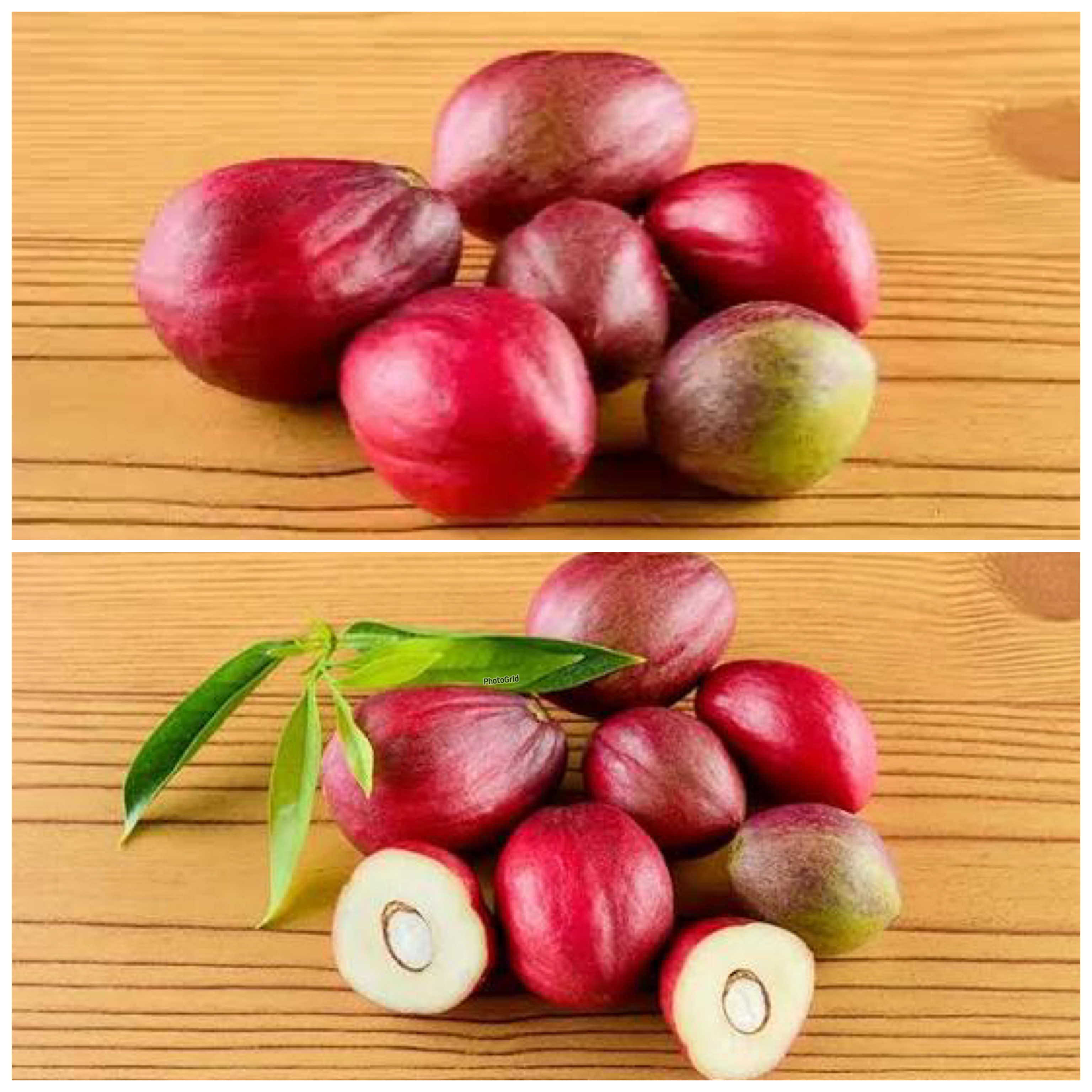 Rahasia Buah Mahkota Dewa, Herbal Tradisional dengan Segudang Khasiat!