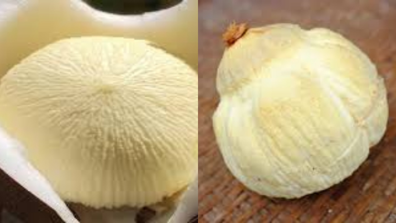 Sumber Energi Alami Dari Kentos Kelapa Untuk Kesehatan Tubuh Yang Luar Biasa!