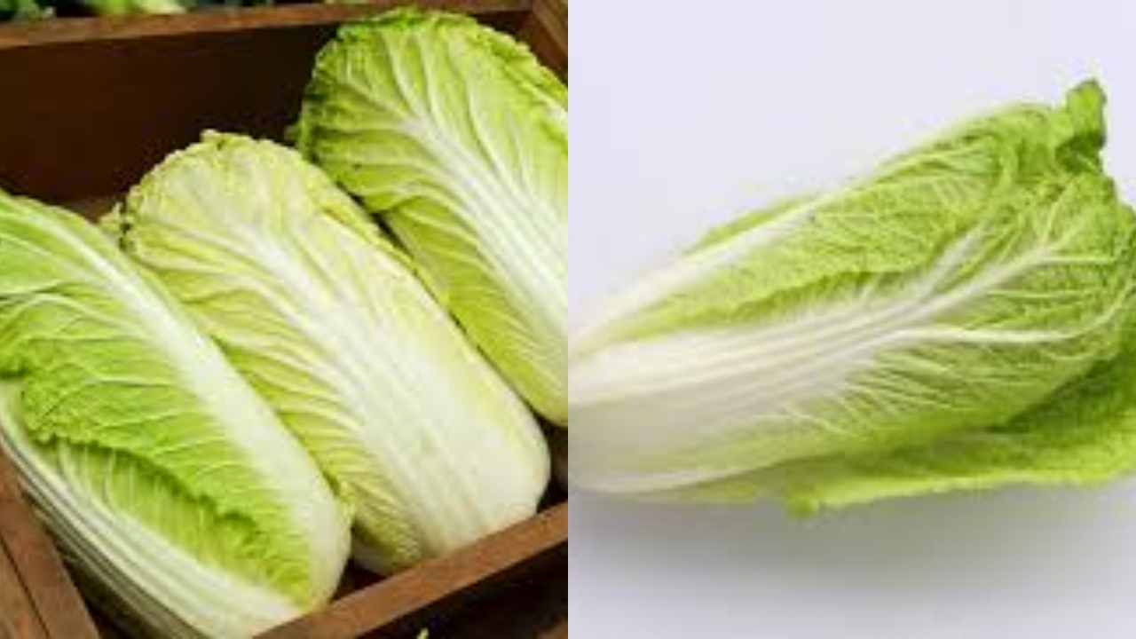  Jarang Diketahui Inilah 8 Manfaat Sawi Putih Untuk Kesehatan Tubuh!