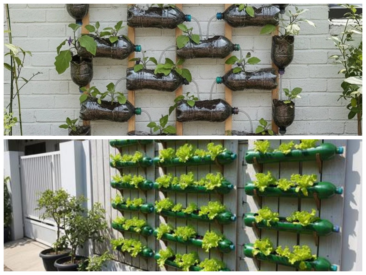 Kreatif dan Ramah Lingkungan, Deretan Sayuran yang Cocok Ditanam di Botol Plastik Bekas untuk Teras Rumah
