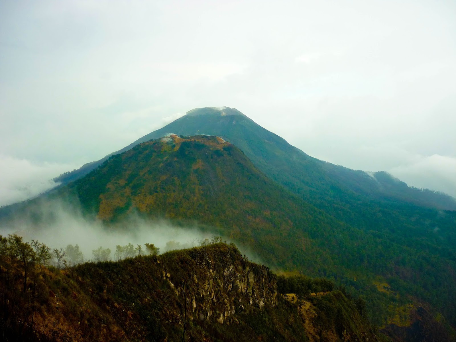 Gunung Arjuno, Menyingkap Kisah Mistis dan Keindahan Alam Jawa Timur, Cek Lengkapnya Disini!