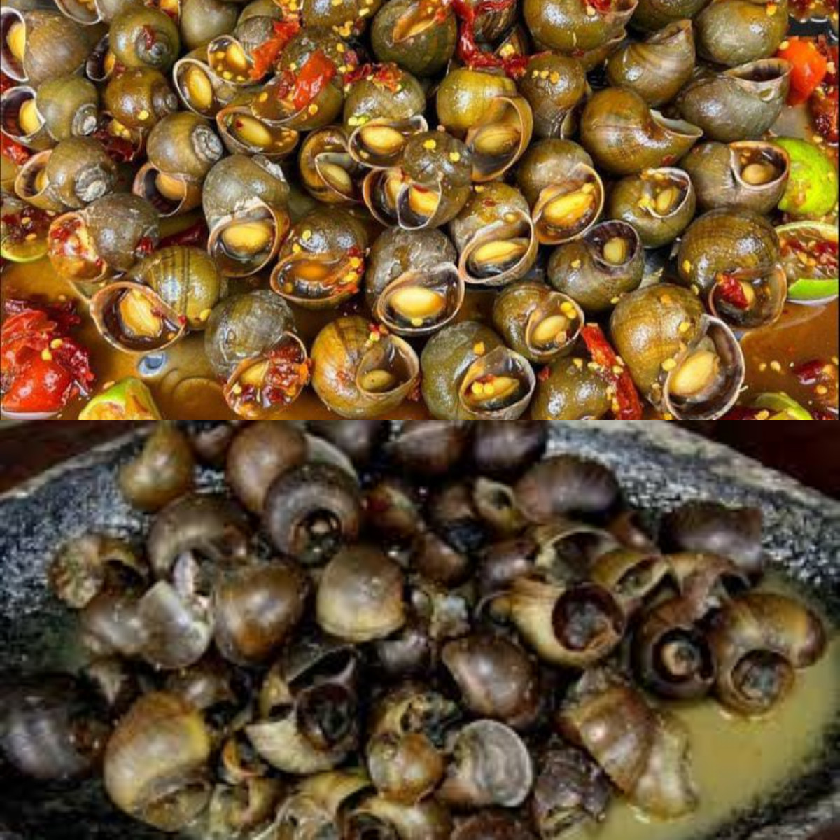 Manfaat Keong Sawah, Jaga Kolesterol hingga Imunitas!