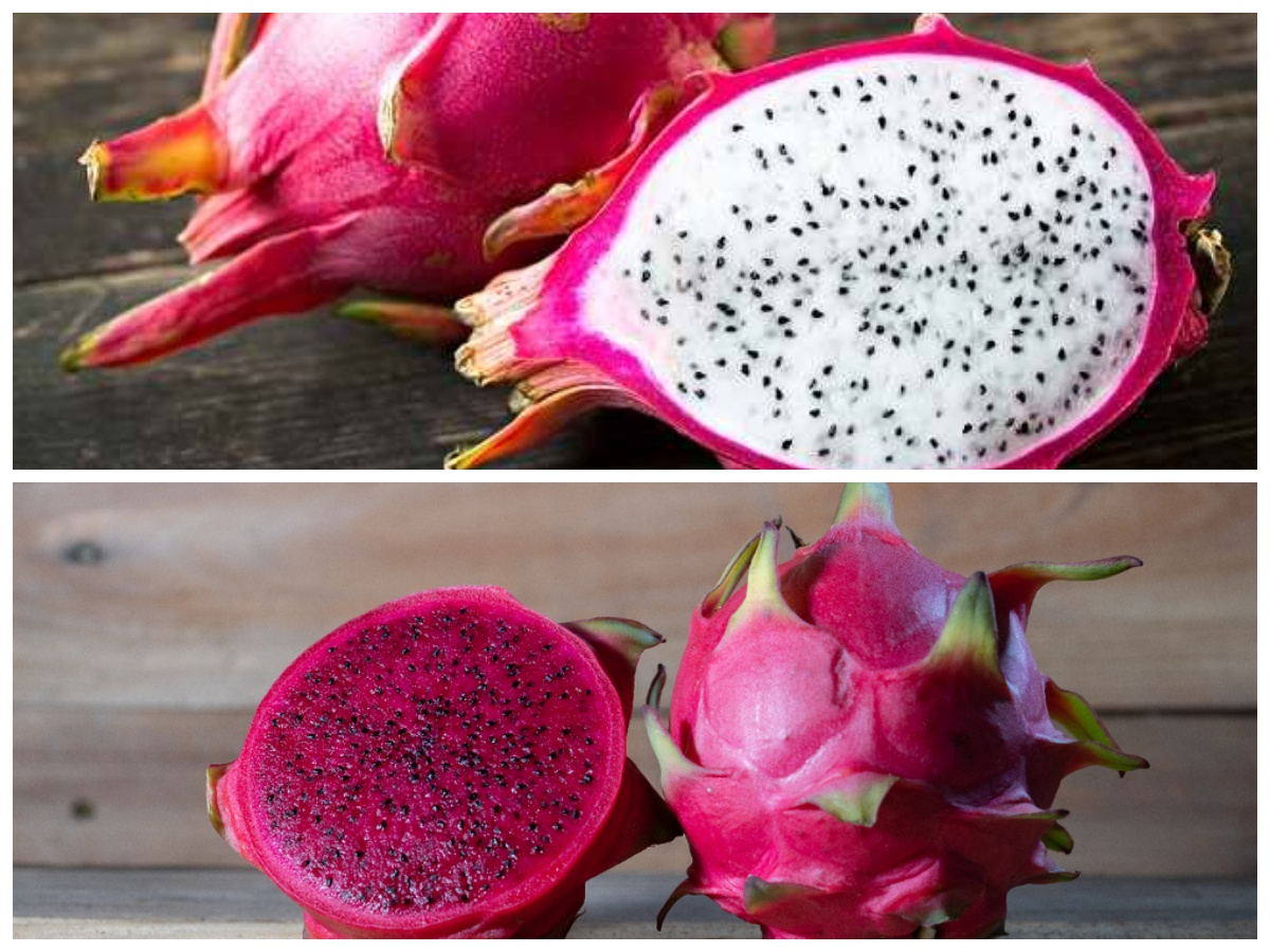 Keajaiban Buah Naga: Khasiat dan Manfaat Kesehatan dari Si Buah Berwarna Cerah