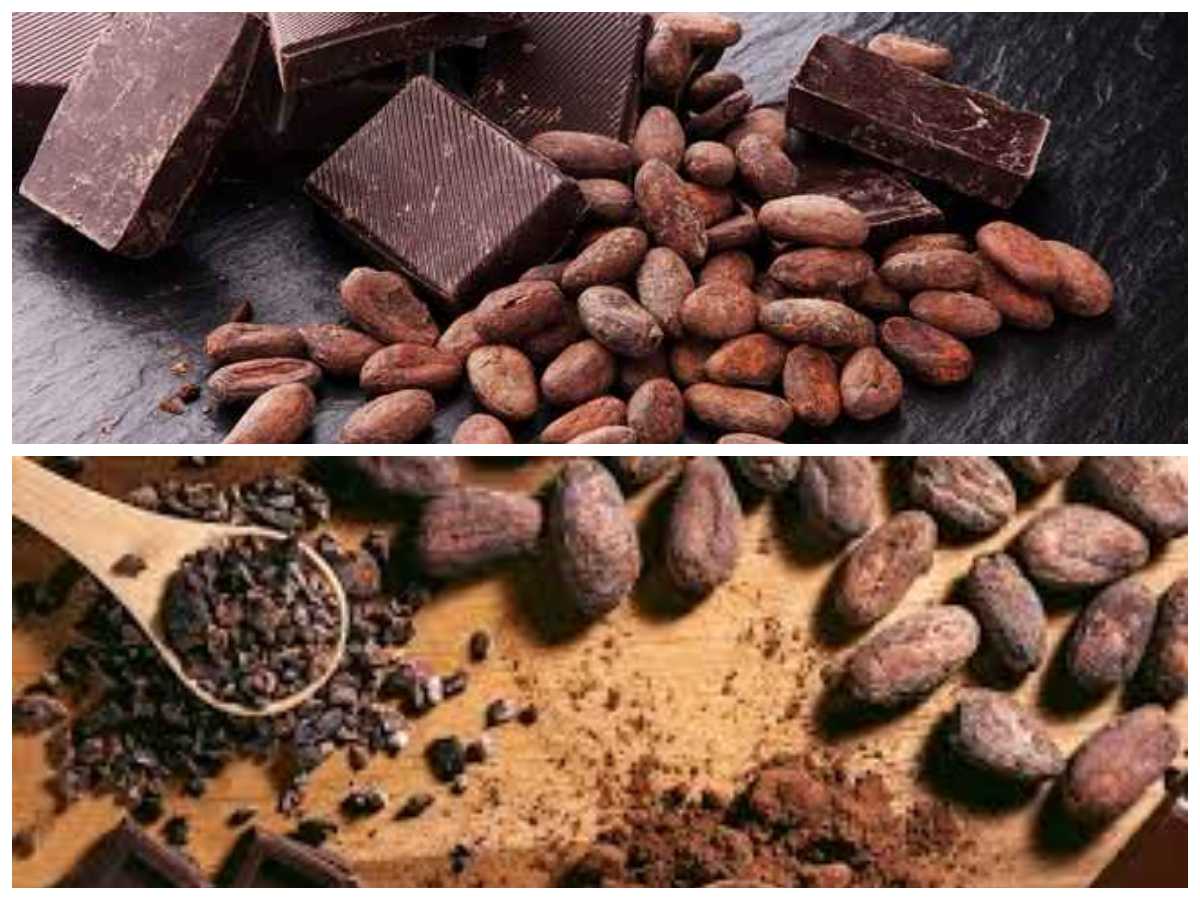 Rahasia Manfaat Cokelat dan Tips Konsumsi Sehat Tanpa Berlebihan