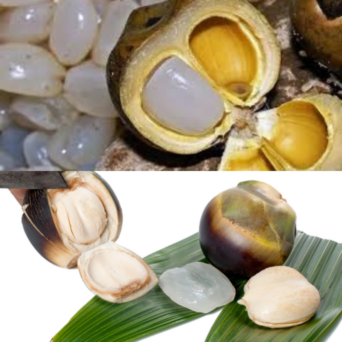  Ini Kegunaan Buah Lontar untuk Kesehatan Tubuh!