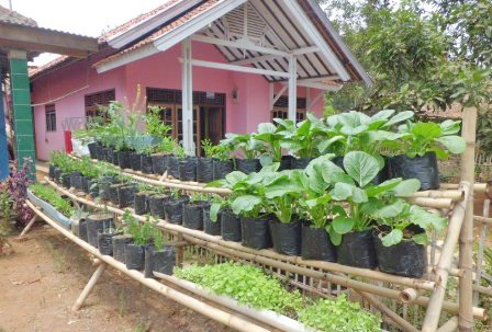 Masyarakat Kelurahan Bumi Agung Diminta Manfaatkan Pekarangan untuk Ketahanan Pangan