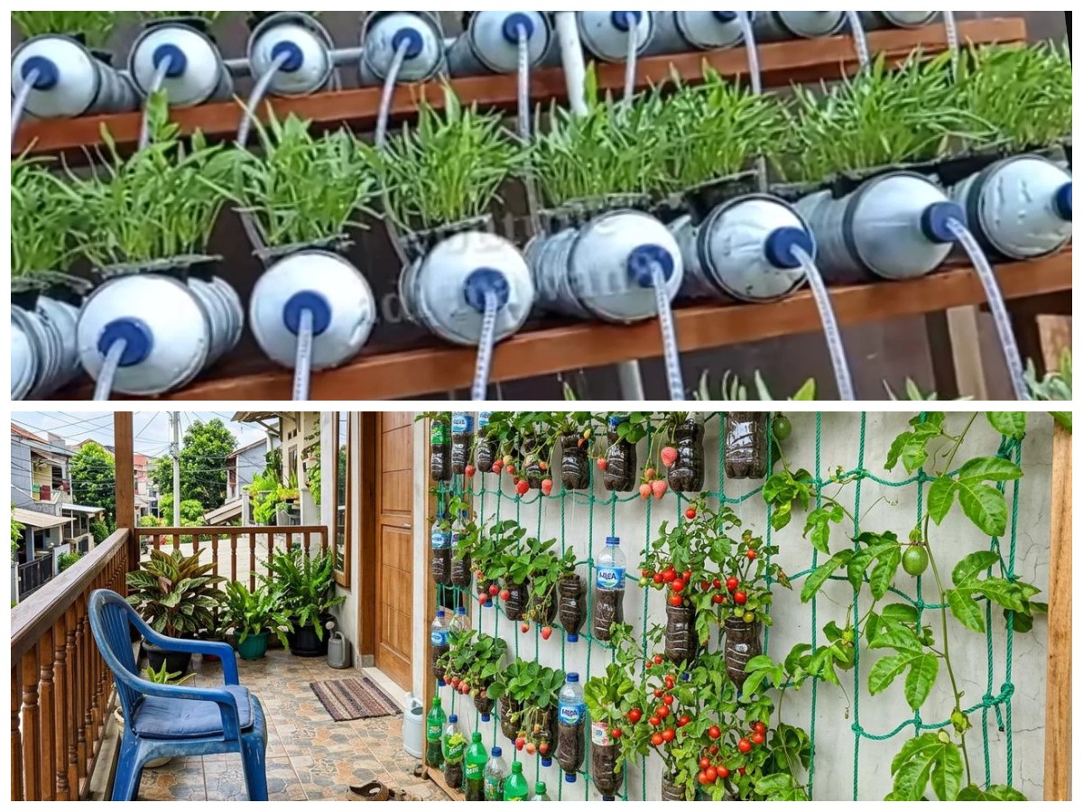 Sulap Barang Bekas Jadi Kebun Estetik: 7 Ide Kreatif Murah, Unik, dan Ramah Lingkungan