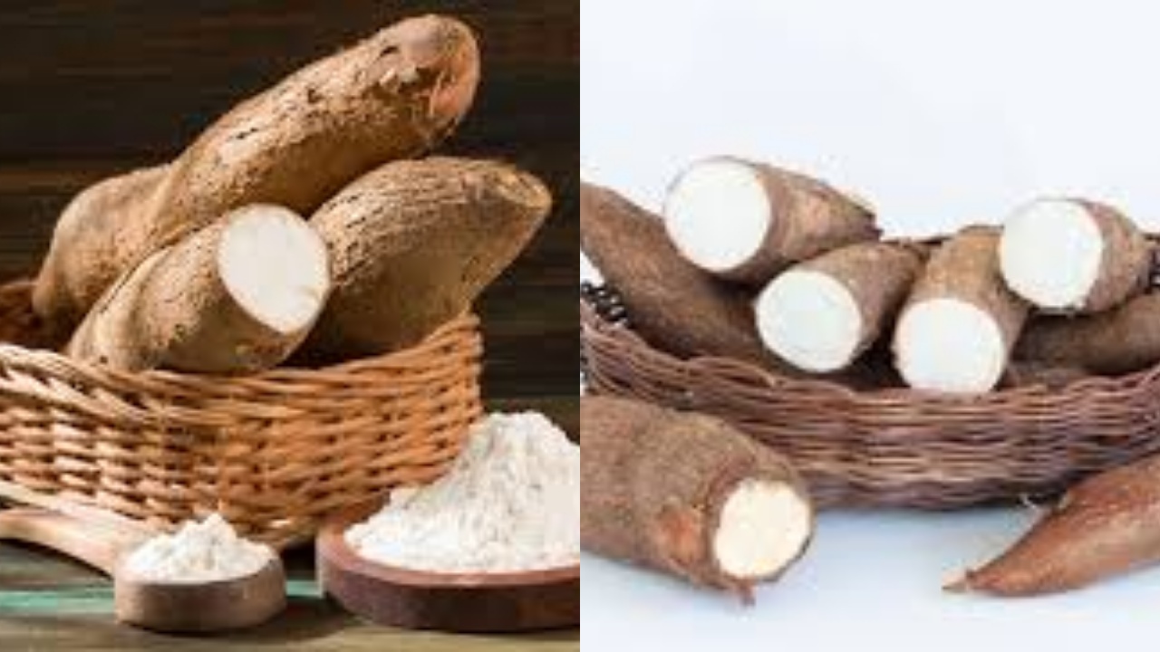 Tak Hanya Mengenyangkan, Ini 8 Manfaat Singkong Untuk Kesehatan Tubuh