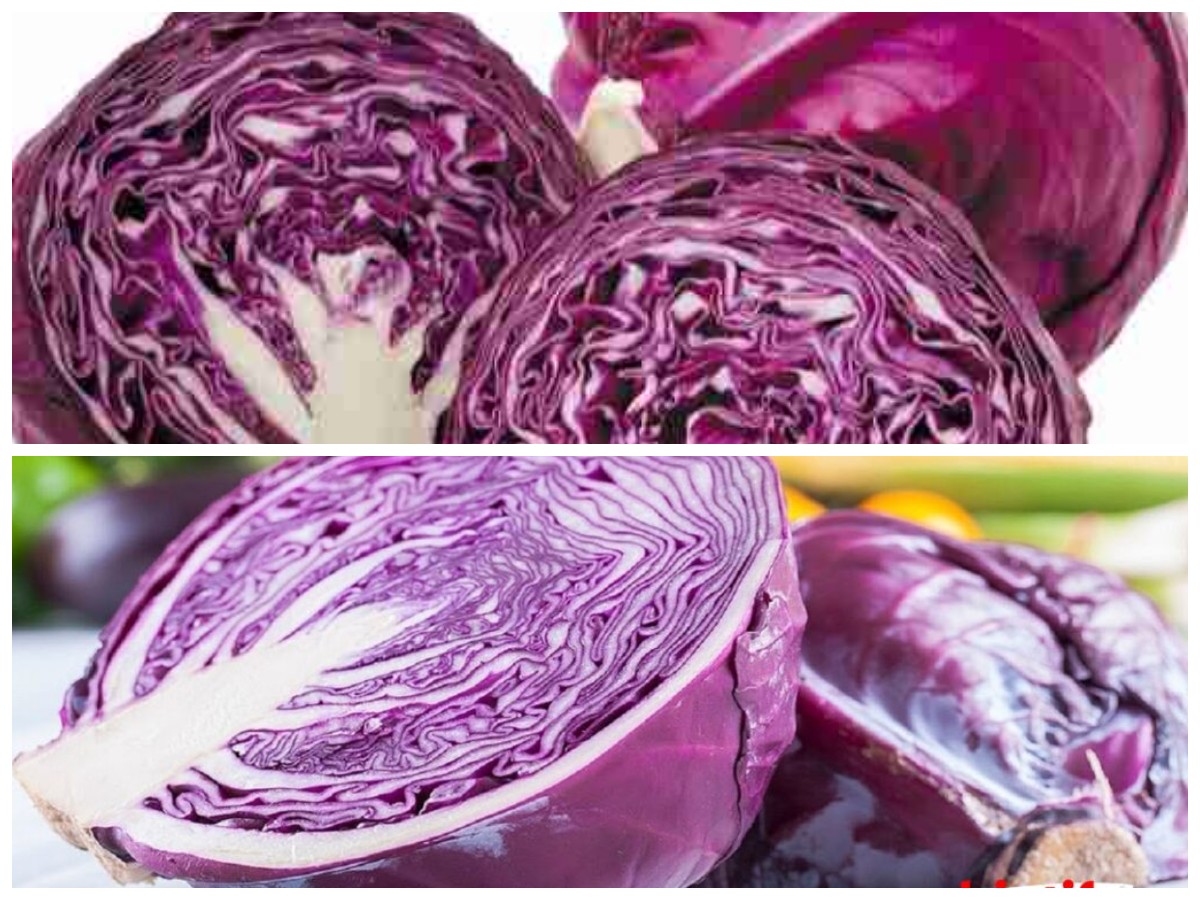 Kol Ungu yang Penuh Nutrisi: Kenali Segudang Manfaatnya untuk Kesehatan Tubuh
