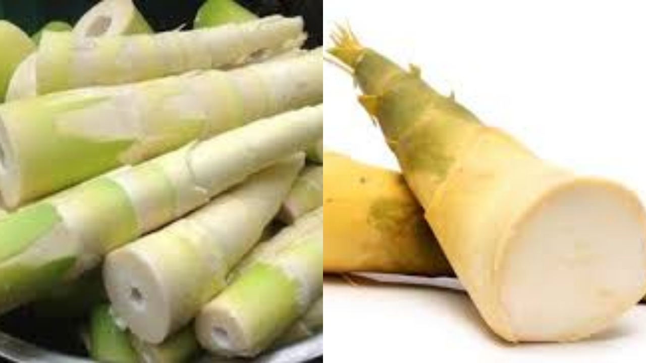 Apa Sih Manfaat Rebung Untuk Kesehatan? Berikut Penjelasanya