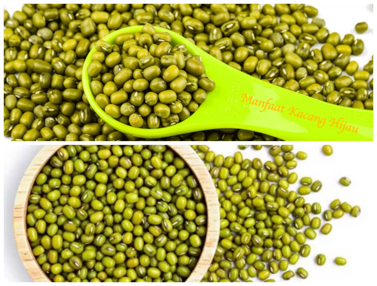 Manfaat Kacang Hijau untuk Asam Lambung: Solusi Alami untuk Mengatasi Gangguan Pencernaan!